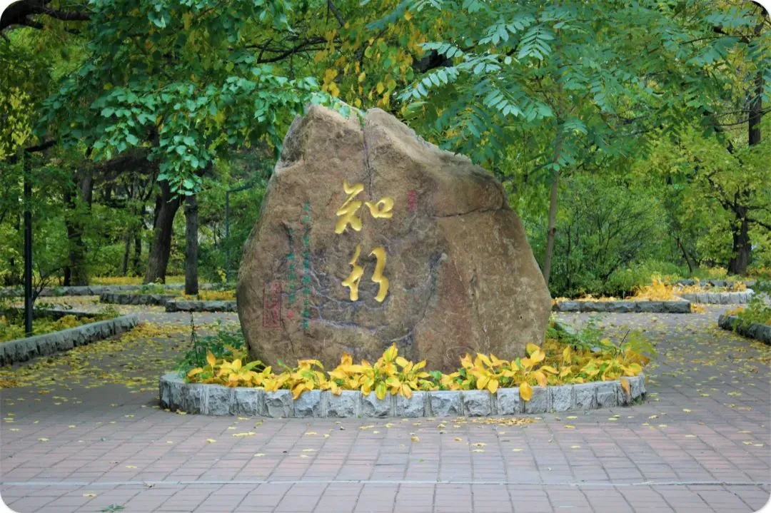 为什么篮球训练中需要遵守规矩_1